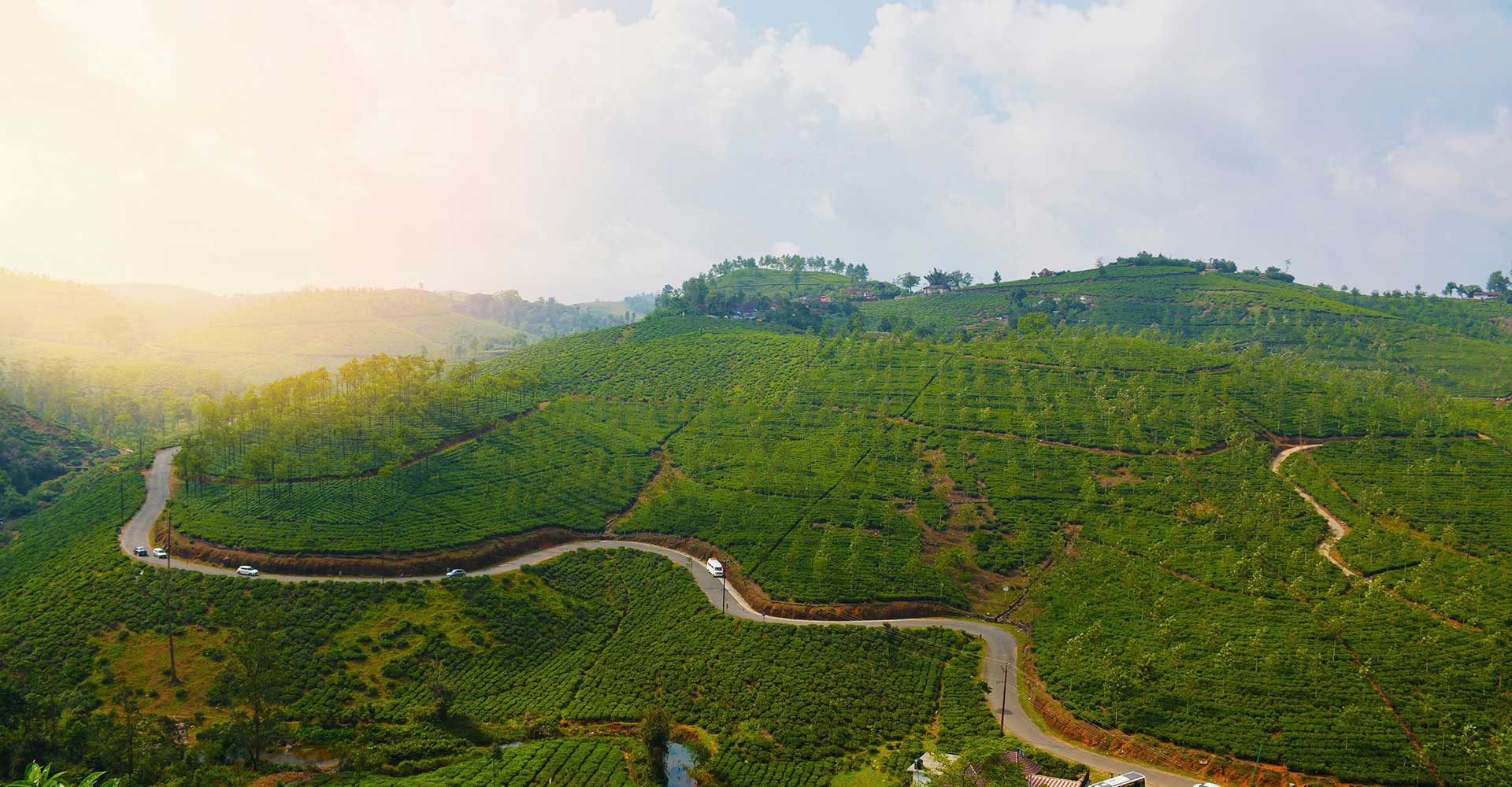 Vagamon